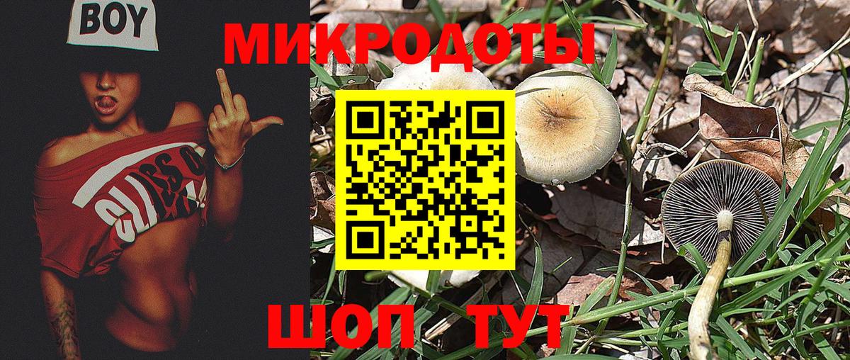 Галлюциногенные грибы прущие грибы Ахтубинск