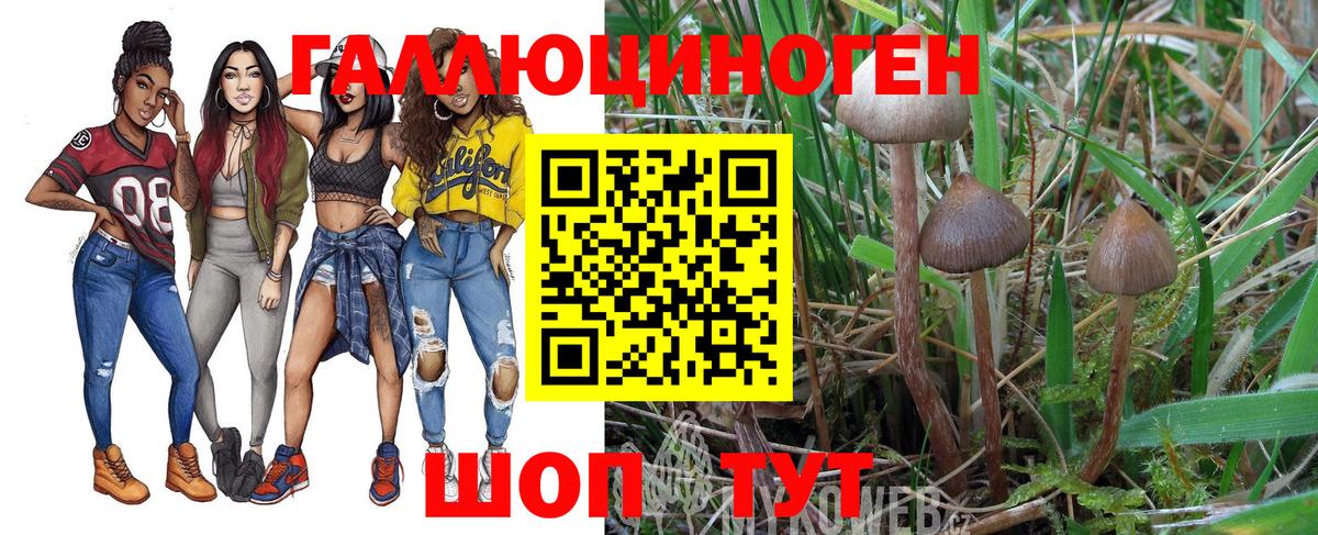 Галлюциногенные грибы Ахтубинск
